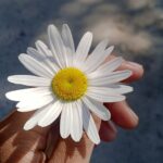 Foto van een hand die een bloem vasthoudt